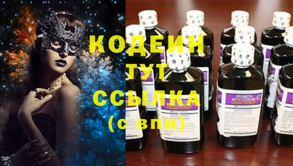 индика Липки