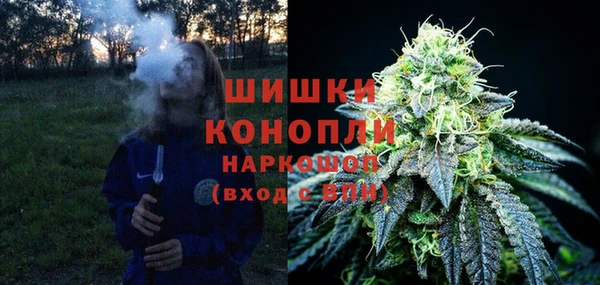 ешки Ладушкин