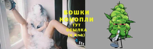 индика Лиски