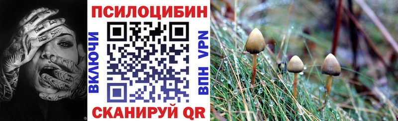 Псилоцибиновые грибы мицелий  даркнет сайт  Новоржев 